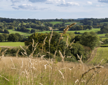 Option exchange agreed at Claypole draft allocation site